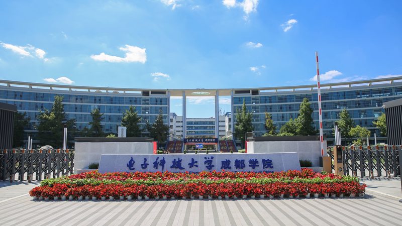 电子产品代工流程揭秘：从设计到成品的蜕变之旅**